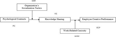 Role of Psychological Contracts in Enhancing Employee Creativity Through Knowledge Sharing: Do Boundary Conditions of Organization’s Socialization and Work-Related Curiosity Matter?